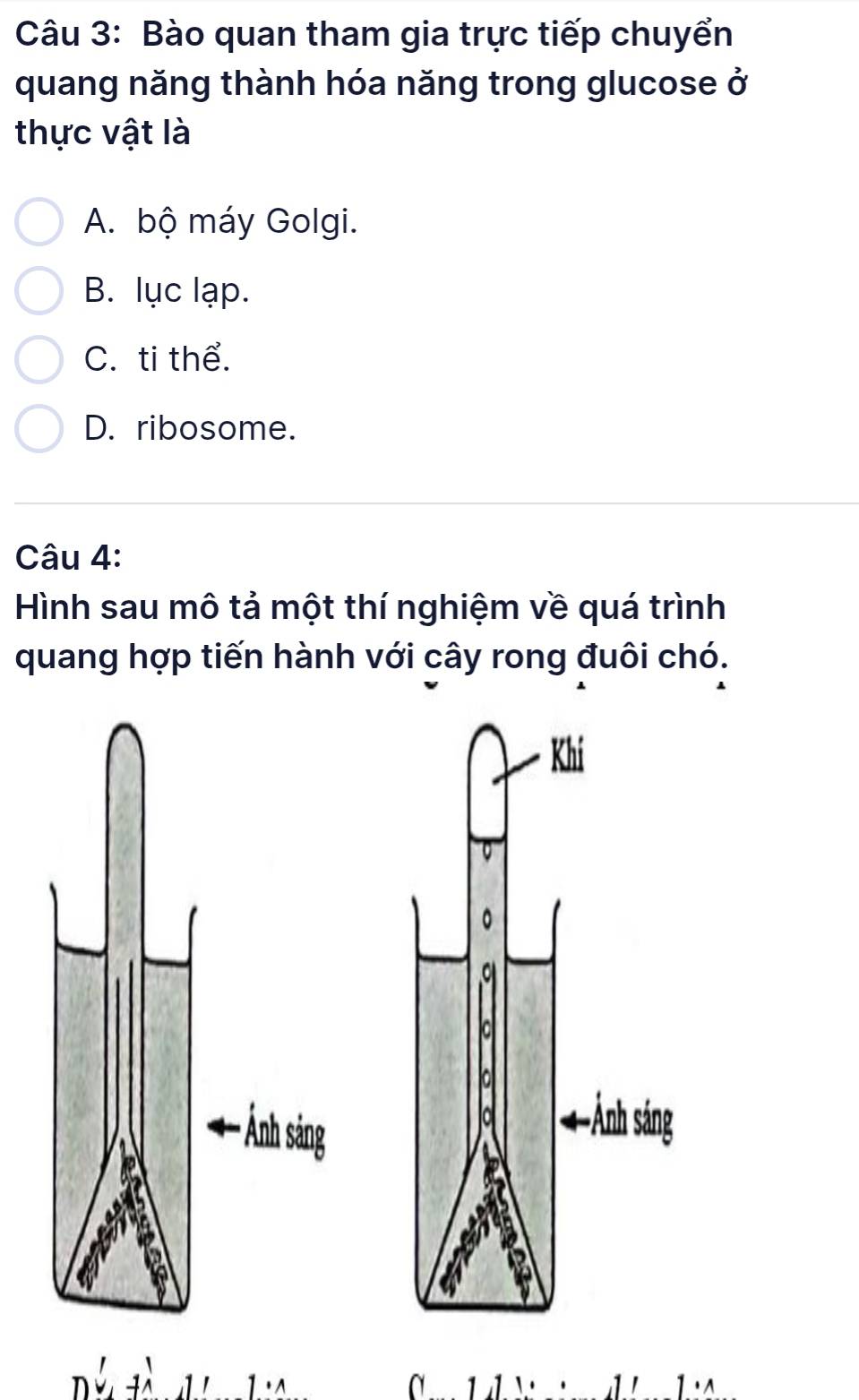 Bào quan tham gia trực tiếp chuyển
quang năng thành hóa năng trong glucose ở
thực vật là
A. bộ máy Golgi.
B. lục lạp.
C. ti thể.
D. ribosome.
Câu 4:
Hình sau mô tả một thí nghiệm về quá trình
quang hợp tiến hành với cây rong đuôi chó.
g
+^ 1 1· 0 1 1 · 1' 1 ·