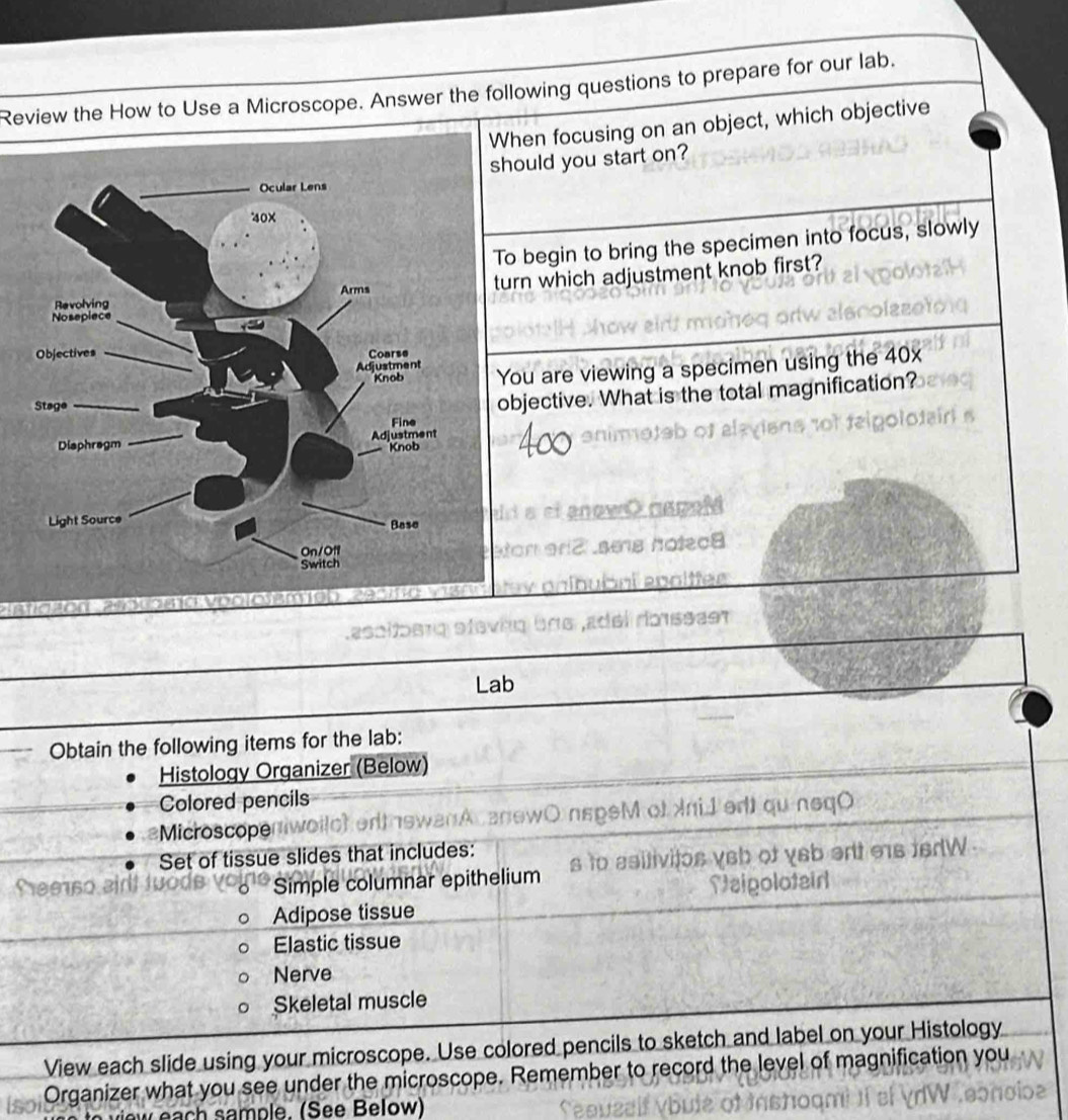 Review the How to Use a Microscope. Answer the following questions to prepare for our lab. 
hen focusing on an object, which objective 
ould you start on? 
o begin to bring the specimen into focus, slowly 
rn which adjustment knob first? 
ou are viewing a specimen using the 40x
bjective. What is the total magnification? 
sciancy old 
on ar 2 sms hotec8 
nioulónl epölffee 
Organize 
ample. ( S ee B elow)