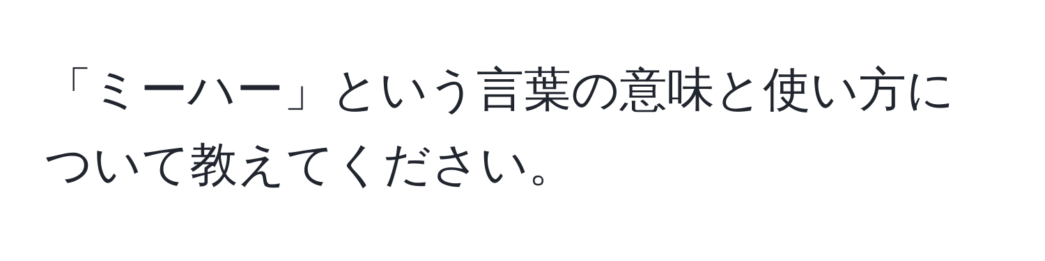 「ミーハー」という言葉の意味と使い方について教えてください。