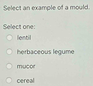 Select an example of a mould.
Select one:
lentil
herbaceous legume
mucor
cereal