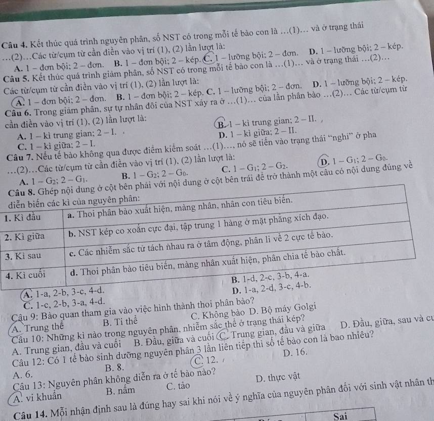 Kết thúc quá trình nguyên phân, số NST có trong mỗi tế bào con là ...(1)... và ở trạng thái
..(2)..Các từ/cụm từ cần điền vào vị trí (1), (2) lần lượt là:
A. 1 - đơn bội; 2 - đơn. B. 1 - đơn bội; 2 - kép. C. 1 - lưỡng bội; 2 - đơn. D. 1 - lưỡng bội; 2 - kép.
Câu 5. Kết thúc quá trình giảm phân, số NST có trong mỗi tế bảo con là ...(1)... và ở trạng thái ...(2)...
Các từ/cụm từ cần điền vào vị trí (1), (2) lần lượt là:
A. 1 - đơn bội; 2 - dơn. B. 1 - đơn bội; 2 - kép. C. 1 - lưỡng bội; 2- đơn. D. 1 - lưỡng bội; 2 - kép.
Câu 6. Trong giảm phân, sự tự nhân đôi của NST xảy ra ở ...(1)... của lần phân bào ...(2)... Các từ/cụm từ
cần điền vào vị trí (1), (2) lần lượt là:
A. 1 - kì trung gian; 2-I. B. 1 - kì trung gian; 2-II
D. 1 - kì giữa; 2 - II.
C. 1 - kì giữa: 2-I.
Câu 7. Nếu tế bào không qua được điểm kiểm soát ...(1)..., nó sẽ tiến vào trạng thái “nghi” ở pha
...(2)...Các từ/cụm từ cần điền vào vị trí (1), (2) lần lượt là:
D.
1-G_2;2-G_1. B. 1-G_2;2-G_0. C. 1-G_1;2-G_2. 1-G_1;2-G_0.
ở cột bên trái để trở thành một câu có nội dung đúng về
1
2
3
A. 1-a,
C. 1-c, 2-b, 3-a, 4-d.
Cu 9: Bào quan tham gia vào việc hình thành thoi phân bảo?
A. Trung thể B. Ti thể C. Không bảo D. Bộ máy Golgi
Cầu 10: Những kì nào trong nguyên phân, nhiễm sắc thể ở trạng thái kép?
A. Trung gian, đầu và cuối B. Đầu, giữa và cuối C. Trung gian, đầu và giữa D. Đầu, giữa, sau và cư
Câu 12: Có 1 tế bào sinh dưỡng nguyên phân 3 lần liên tiếp thì số tế bào con là bao nhiêu?
D. 16.
A. 6. B. 8. C. 12. 
Câu 13: Nguyên phân không diễn ra ở tế bào nào?
A. vi khuẩn B. nấm C. tảo D. thực vật
Câu 14. Mỗi nhận định sau là đúng hay sai khi nói về ý nghĩa của nguyên phân đối với sinh vật nhân th
Sai