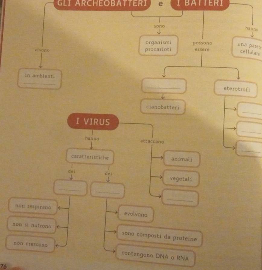 GLI ARCHEOBATTERI e I BATTERI 
sono 
hanno 
organismi possono una paret 
vivono procarioti essere cellulare 
in ambienti 
_ 
_ 
eterotrofi 
_ 
cianobatteri 
I VIRUS 
_ 
hanno attaccano 
_ 
caratteristiche animali 
| 
dei dei 
vegetali 
_ 
_ 
_ 
non respirano 
evolvona 
non si nutrono 
sono composti da proteine 
nòn crescono contengono DNA o RNA 
76