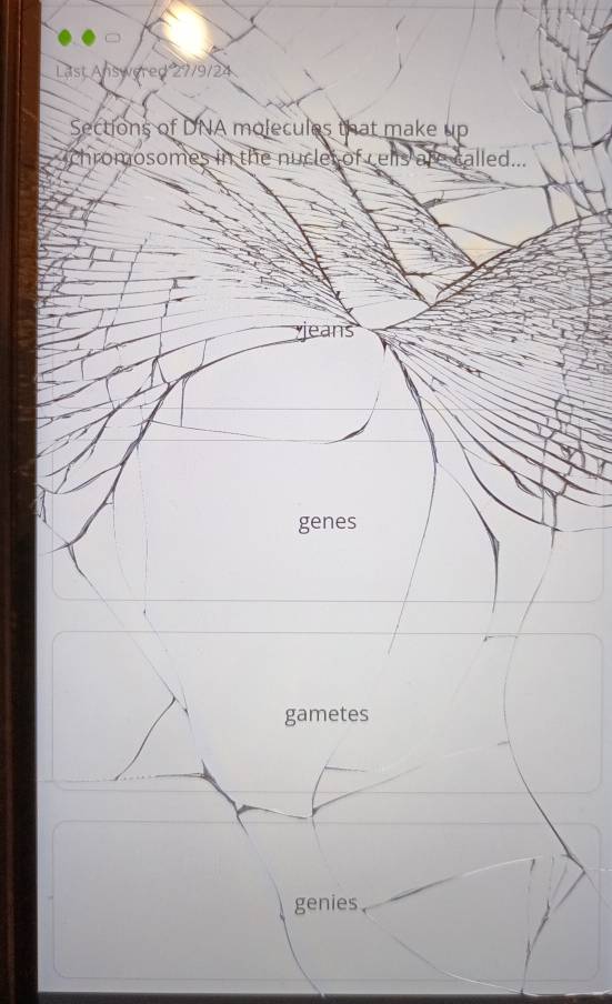 Last Answered 27/9/24
Sections of DNA molecules that make up
ichromosomes in the nuclet of cells are called...
jeans
genes
gametes
genies.