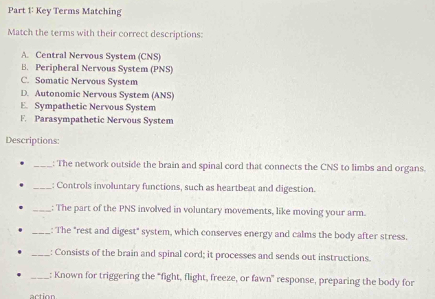 Key Terms Matching
Match the terms with their correct descriptions:
A. Central Nervous System (CNS)
B. Peripheral Nervous System (PNS)
C. Somatic Nervous System
D. Autonomic Nervous System (ANS)
E. Sympathetic Nervous System
F. Parasympathetic Nervous System
Descriptions:
_: The network outside the brain and spinal cord that connects the CNS to limbs and organs.
_: Controls involuntary functions, such as heartbeat and digestion.
_: The part of the PNS involved in voluntary movements, like moving your arm.
_: The "rest and digest" system, which conserves energy and calms the body after stress.
_: Consists of the brain and spinal cord; it processes and sends out instructions.
_: Known for triggering the “fight, flight, freeze, or fawn” response, preparing the body for
action