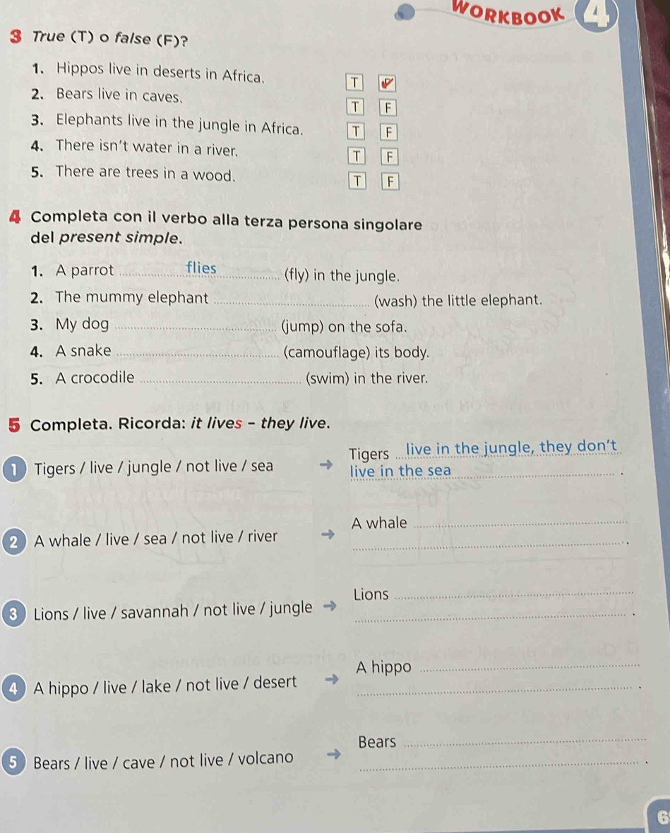 WORKBOOK
3 True (T) o false (F)?
1. Hippos live in deserts in Africa.
2. Bears live in caves.
T F
3. Elephants live in the jungle in Africa. T F
4. There isn't water in a river.
T F
5. There are trees in a wood.
T F
4 Completa con il verbo alla terza persona singolare
del present simple.
1. A parrot _flies (fly) in the jungle.
2. The mummy elephant _(wash) the little elephant.
3. My dog _(jump) on the sofa.
4. A snake _(camouflage) its body.
5. A crocodile _(swim) in the river.
5 Completa. Ricorda: it lives - they live.
Tigers live in the jungle, they don’t
1  Tigers / live / jungle / not live / sea live in the sea_
A whale_
2 A whale / live / sea / not live / river_
Lions_
3  Lions / live / savannah / not live / jungle_
A hippo_
4 A hippo / live / lake / not live / desert_
Bears
_
5  Bears / live / cave / not live / volcano_