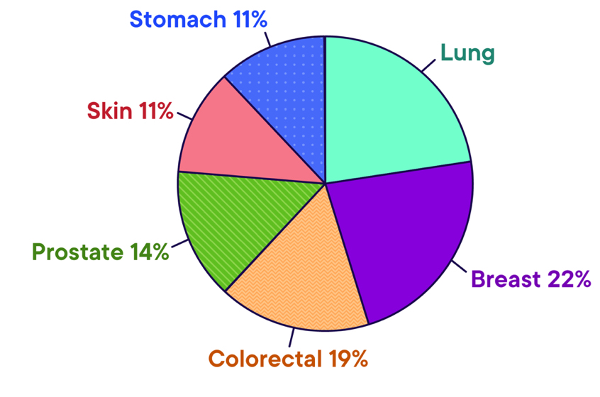 Stomach 11%
Breast 22%