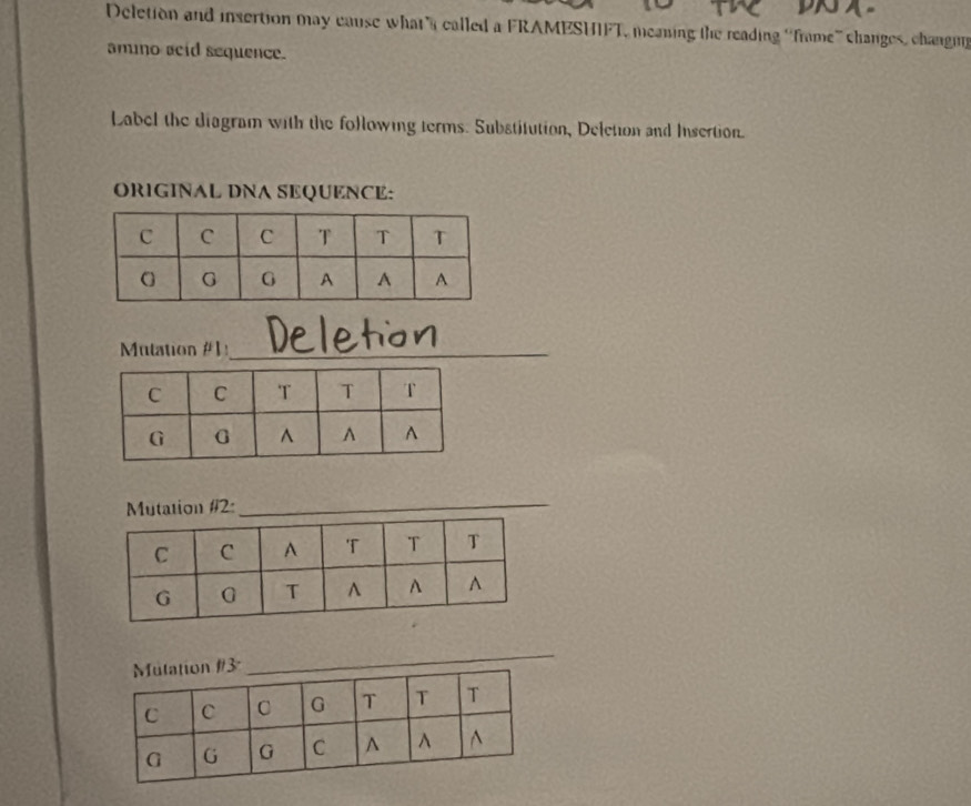 Deletion and insertion may cause what called a FRAMESHIFT, meaning the reading “frame” changes, changi 
amno acid sequence. 
Label the diagram with the following terms. Substitution, Deletion and Insertion. 
ORIGINAL DNA SEQUENCE: 
Mutation #1:_ P 
Mutation #2:_