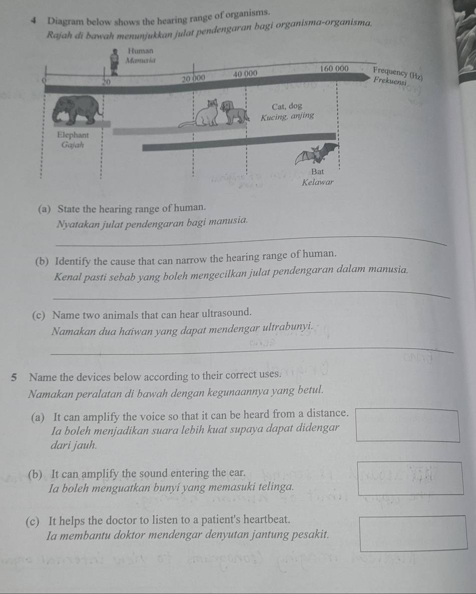 Diagram below shows the hearing range of organisms. 
Rajah di bawah menunjukkan julat pendengaran bagi organisma-organisma, 
(a) State the hearing range of human. 
_ 
Nyatakan julat pendengaran bagi manusia. 
(b) Identify the cause that can narrow the hearing range of human. 
Kenal pasti sebab yang boleh mengecilkan julat pendengaran dalam manusia. 
_ 
(c) Name two animals that can hear ultrasound. 
Namakan dua haiwan yang dapat mendengar ultrabunyi. 
_ 
5 Name the devices below according to their correct uses. 
Namakan peralatan di bawah dengan kegunaannya yang betul. 
(a) It can amplify the voice so that it can be heard from a distance. 
Ia boleh menjadikan suara lebih kuat supaya dapat didengar 
dari jauh. 
(b) It can amplify the sound entering the ear. 
Ia boleh menguatkan bunyi yang memasuki telinga. 
(c) It helps the doctor to listen to a patient's heartbeat. 
Ia membantu doktor mendengar denyutan jantung pesakit.
