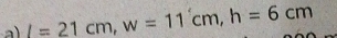 L=21cm, w=11cm, h=6cm