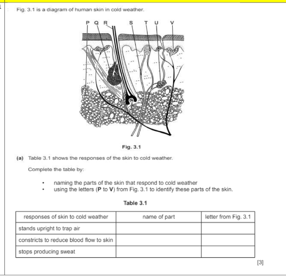 Solved: Fig. 3.1 is a diagram of human skin in cold weather. Fig. 3.1 ...