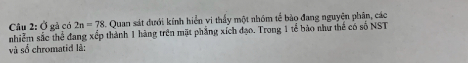 Ở gà có 2n=78. Quan sát dưới kính hiển vi thấy một nhóm tế bào đang nguyên phân, các 
nhiễm sắc thể đang xếp thành 1 hàng trên mặt phẳng xích đạo. Trong 1 tế bào như thế có số NST 
và shat o chromatid là: