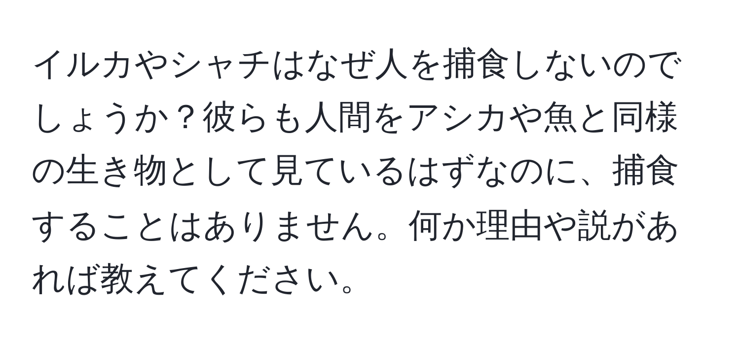 イルカやシャチはなぜ人を捕食しないのでしょうか？彼らも人間をアシカや魚と同様の生き物として見ているはずなのに、捕食することはありません。何か理由や説があれば教えてください。