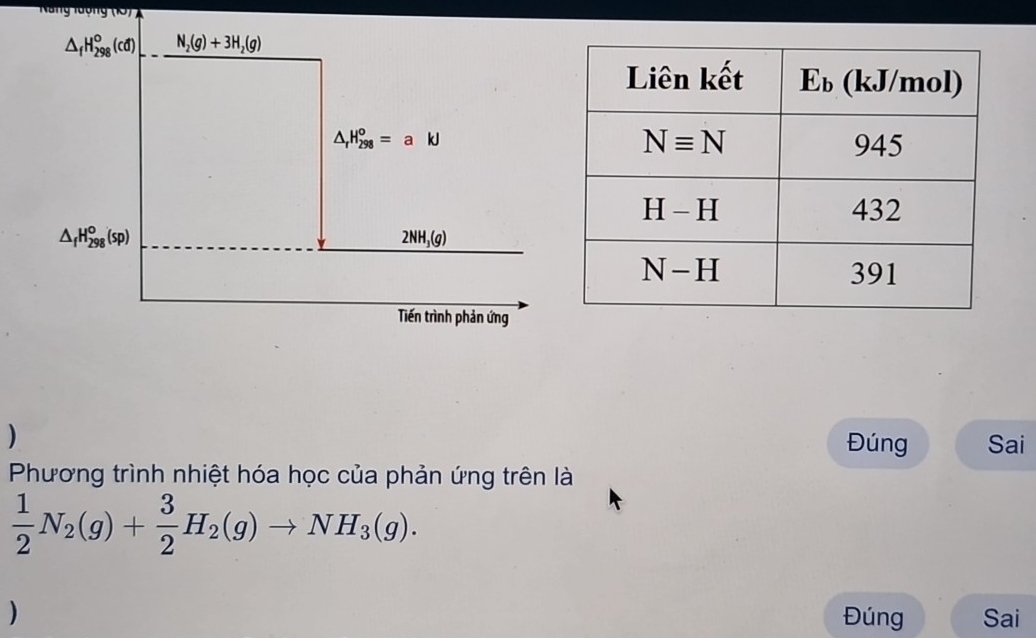 )
Đúng Sai
Phương trình nhiệt hóa học của phản ứng trên là
 1/2 N_2(g)+ 3/2 H_2(g)to NH_3(g).
) Đúng Sai