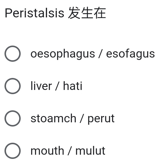 Peristalsis
oesophagus / esofagus
liver / hati
stoamch / perut
mouth / mulut