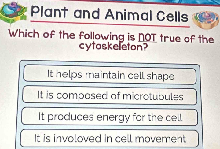 Plant and Animal Cells
Which of the following is NOT true of the
cytoskeleton?
It helps maintain cell shape
It is composed of microtubules
It produces energy for the cell
It is involoved in cell movement