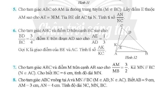 Hình 11 
5. Cho tam giác ABC có AM là đường trung tuyển (M∈ BC). Lẩy điểm E thuộc
AM sao cho AE=3EM. Tia BE cắt AC tại N. Tính tỉ số  AN/NC . 
6. Cho tam giác ABC và điểm D trên cạnh BC sao cho
 BD/BC = 3/4  , điễm E trên đoạn AD sao cho  AE/AD = 1/3 . 
Gọi K là giao điểm của BE và AC. Tính tỉ số  AK/KC . 
7. Cho tam giác ABC và diễm M trên cạnh AB sao cho  AM/MB = 3/2 . Kẻ MNparallel BC
(N∈ AC). Cho biết BC=6cm 1, tinh độ dài MN. 
8. Cho tam giác ABC vuông tại A và MN//BC (M∈ AB; N∈ AC). Biết. AB=9cm,
AM=3cm, AN=4cm.. Tính độ dài NC, MN, BC.