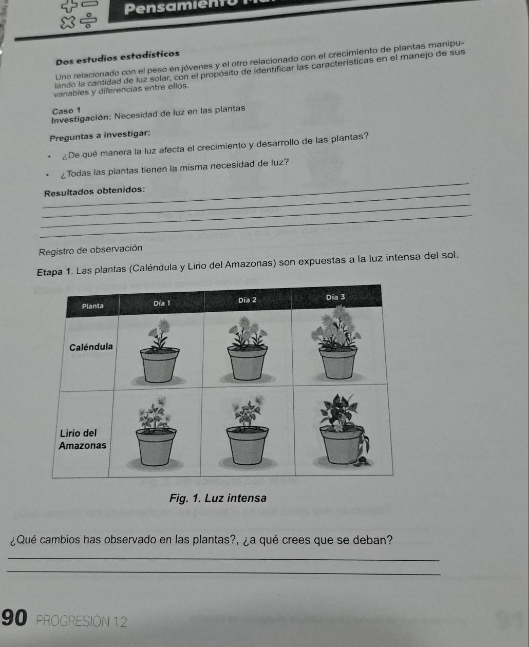 Pensamiento 
Dos estudios estadísticos 
Uno relacionado con el peso en jóvenes y el otro relacionado con el crecimiento de plantas manipu- 
lando la cantidad de luz solar, con el propósito de identificar las características en el manejo de sus 
variables y diferencias entre ellos. 
Caso 1 
Investigación: Necesidad de luz en las plantas 
Preguntas a investigar: 
¿De qué manera la luz afecta el crecimiento y desarrollo de las plantas? 
_ 
¿Todas las plantas tienen la misma necesidad de luz? 
_Resultados obtenidos: 
_ 
_ 
Registro de observación 
Etapa 1. Las plantas (Caléndula y Lirio del Amazonas) son expuestas a la luz intensa del sol. 
Fig. 1. Luz intensa 
¿Qué cambios has observado en las plantas?, ¿a qué crees que se deban? 
_ 
_ 
90 PROGRESIÓN 12