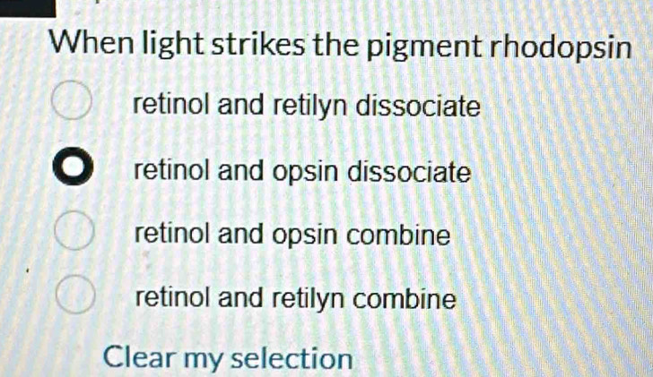 When light strikes the pigment rhodopsin
retinol and retilyn dissociate
retinol and opsin dissociate
retinol and opsin combine
retinol and retilyn combine
Clear my selection