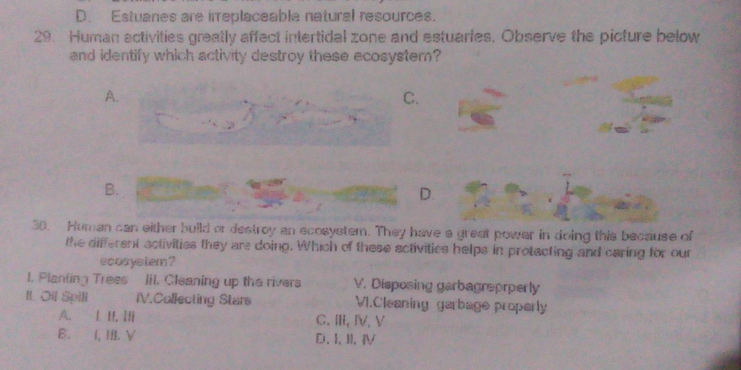 D. Estuanes are irreplaceable natural resources.
29. Human activities greatly affect intertidal zone and estuaries. Observe the picture below
and identify which activity destroy these ecosystem?
A.
C.
B.
D.
30. Human can either build or destroy an ecosystem. They have a great power in doing this because of
the different activities they are doing. Which of these activities helps in protacting and caring for our
ecosystem ?
I. Planting Trees Iit. Cleaning up the rivers V. Disposing garbagreprperly
II. Oil Spill iV.Collecting Stars VI.Cleaning garbage properly
A. I I, Ii C.II,Ⅳ,V
B. I, IB. V D、 I、II、Ⅳ