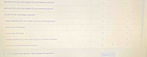 glucose (C_6H_12O_6) and oxygen (O_2) are starting reactants
glucose (C_6H_12O_8) and oxygen (O_2) are ending products
occurs in the chioroplast organelle
carbon dioxide (CO_2) and water (H_2O) are ending products
occurs only in daylight
occurs day and night
carbon dioxide (CO_2) and water (H_2O) are starting reactants
occurs in the mitochondria organelle
6) Look at the picture. Then, answer the questions. Choices