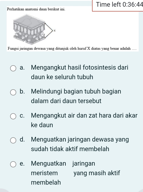 Time left 0:36:44 
Perhatikan anatomi daun berikut ini.
Fungsi jaringan dewasa yang ditunjuk oleh huruf X diatas yang benar adalah ....
a. Mengangkut hasil fotosintesis dari
daun ke seluruh tubuh
b. Melindungi bagian tubuh bagian
dalam dari daun tersebut
c. Mengangkut air dan zat hara dari akar
ke daun
d. Menguatkan jaringan dewasa yang
sudah tidak aktif membelah
e. Menguatkan jaringan
meristem yang masih aktif
membelah