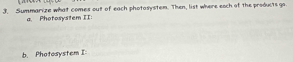 Summarize what comes out of each photosystem. Then, list where each of the products go. 
a. Photosystem II: 
b. Photosystem I: