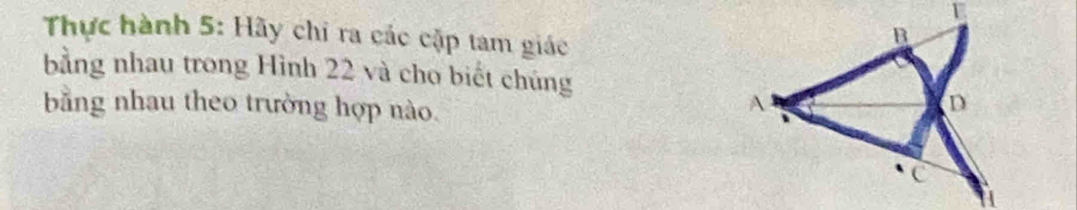 Thực hành 5: Hãy chi ra các cập tam giác 
bằng nhau trong Hình 22 và cho biết chúng 
bằng nhau theo trường hợp nào.