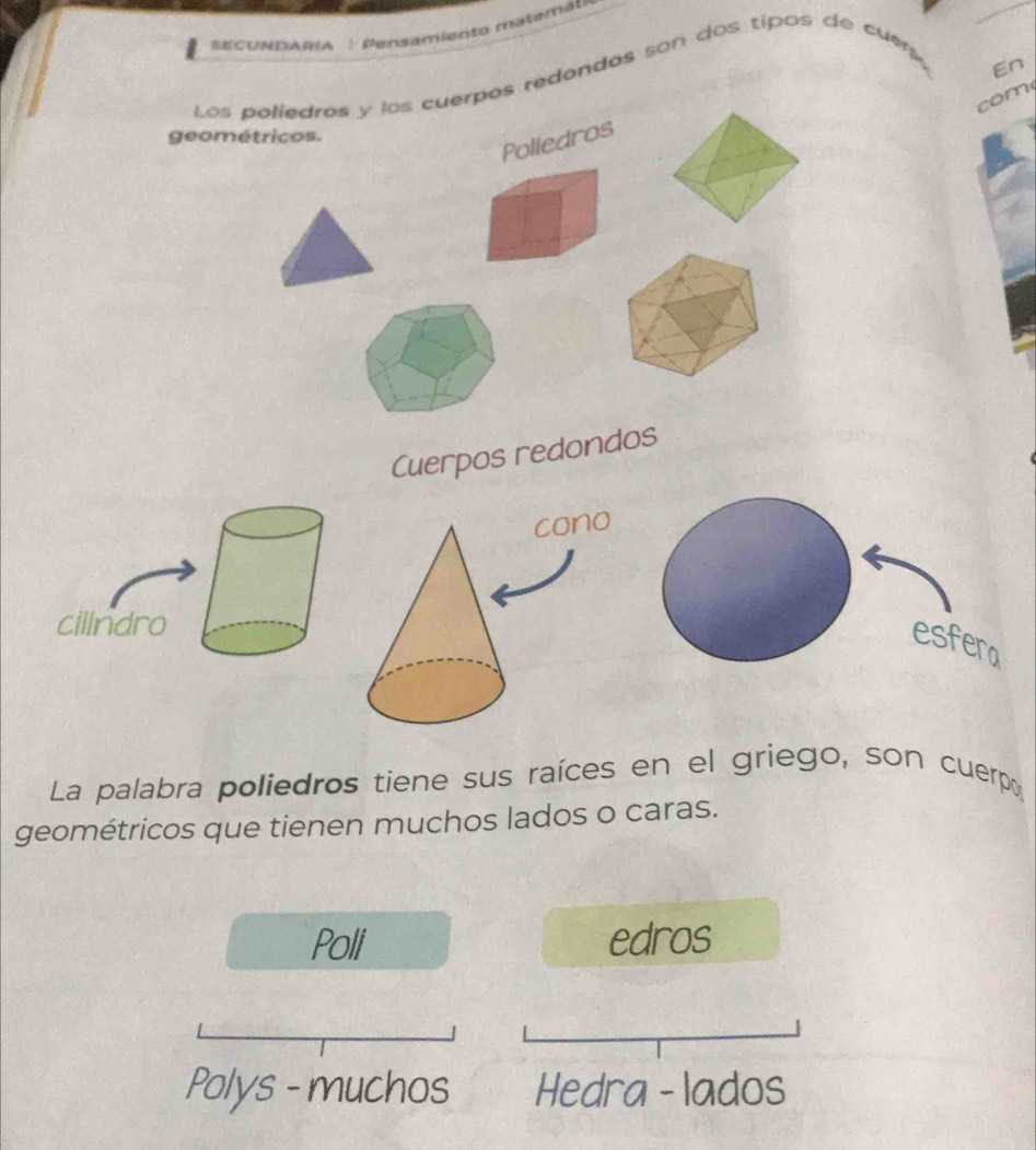 SECUNDARIA : Pensamiento matemát 
En 
Los poliedros y los cuerpos redandas son dos tipos de cue 
com 
geométricos. 
Polledros 
Cuerpos redondos 
cilindro 
esfero 
La palabra poliedros tiene sus raíces en el griego, son cuerpo 
geométricos que tienen muchos lados o caras. 
Poll edros 
Polys - muchos Hedra - lados