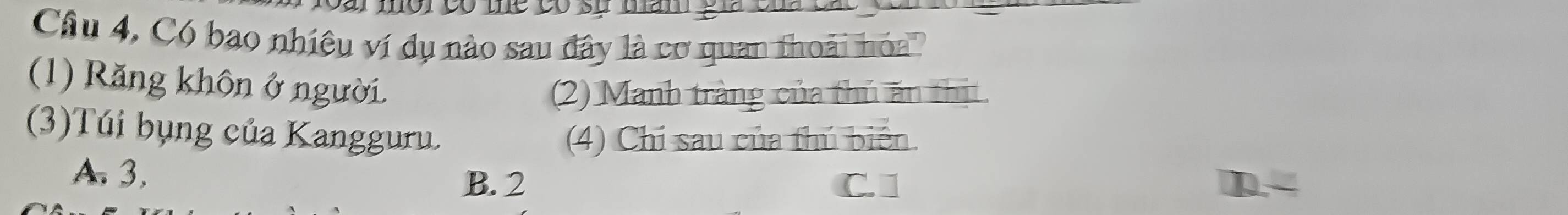 ar mór có the có sự mam gia c 
Câu 4, Có bạo nhiệu ví dụ nào sau đây là cơ quan thoái hóa
(1) Răng khôn ở người.
(2) Manh tràng của thủ ăn thịt.
(3)Túi bụng của Kangguru. (4) Chỉ sau của thủ biển.
A. 3.
B. 2 C. D.-