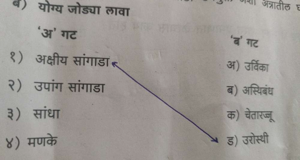 बे) योग्य जोड्या लावा 
‘अ’ गट 
१) अक्षीय सांगाडा 
अ) उ 
२) उपांग सांगाडा 
ब) औस्थब 
३) सांधा 
क) 
ड) उरोर