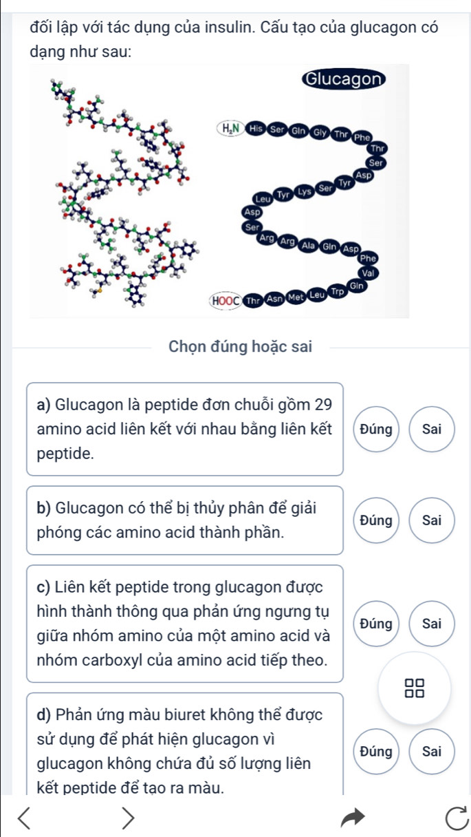 đối lập với tác dụng của insulin. Cấu tạo của glucagon có 
dạng như sau: 
Chọn đúng hoặc sai 
a) Glucagon là peptide đơn chuỗi gồm 29
amino acid liên kết với nhau bằng liên kết Đúng Sai 
peptide. 
b) Glucagon có thể bị thủy phân để giải Đúng Sai 
phóng các amino acid thành phần. 
c) Liên kết peptide trong glucagon được 
hình thành thông qua phản ứng ngưng tụ 
giữa nhóm amino của một amino acid và Đúng Sai 
nhóm carboxyl của amino acid tiếp theo. 
88 
d) Phản ứng màu biuret không thể được 
sử dụng để phát hiện glucagon vì 
glucagon không chứa đủ số lượng liên Đúng Sai 
kết peptide để tạo ra màu.