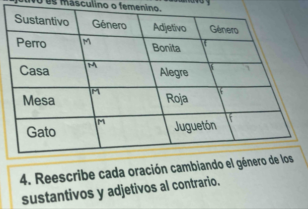 vo us masculino o femenino. 
4. Reescribe cada oración camb 
sustantivos y adjetivos al contrario.