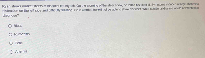 Ryan shows market steers at his local county fair. On the morning of the steer show, he found his steer ill. Symptoms included a large abdorinal
distension on the left side and difficulty walking. He is worried he will not be able to show his steer. What nutritional disease would a veterinarian
diagnose?
Bloat
Rumenitis
Colic
Anemia