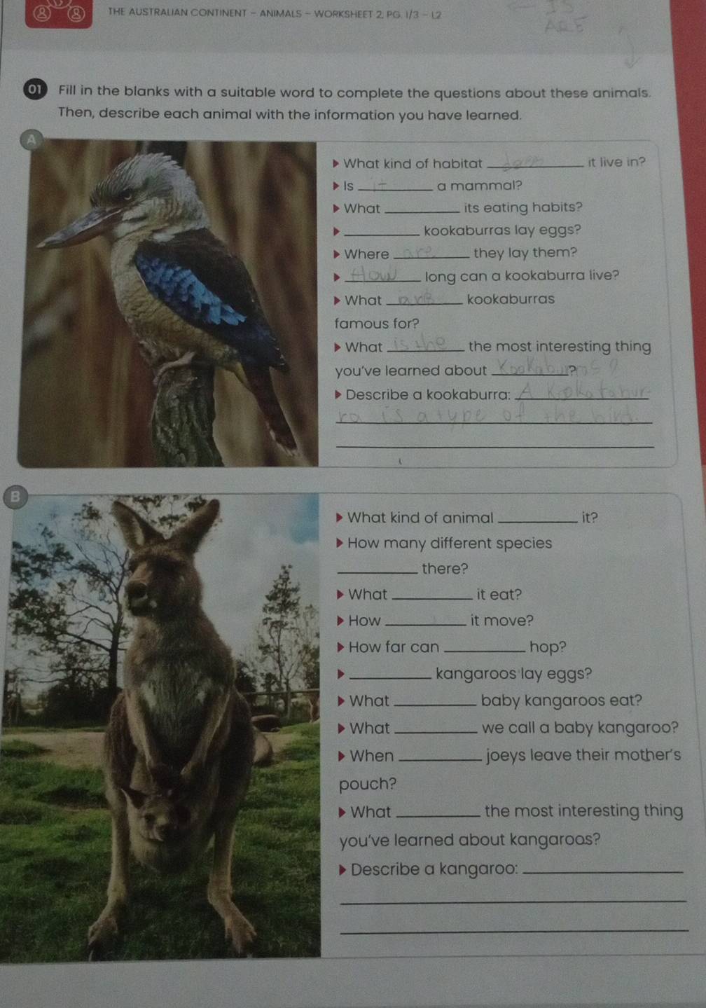 ③ ③ THE AUSTRALIAN CONTINENT - ANIMALS - WORKSHEET 2. PG. 1/3 - L2 
0 Fill in the blanks with a suitable word to complete the questions about these animals. 
Then, describe each animal with the information you have learned. 
What kind of habitat _it live in? 
Is_ a mammal? 
What _its eating habits? 
_kookaburras lay eggs? 
Where _they lay them? 
D 
long can a kookaburra live? 
What _kookaburras 
famous for? 
What _the most interesting thing 
you’ve learned about_ 
Describe a kookaburra:_ 
_ 
_ 
What kind of animal _it? 
How many different species 
_there? 
What _it eat? 
How _it move? 
How far can _hop? 
_kangaroos lay eggs? 
What _baby kangaroos eat? 
What _we call a baby kangaroo? 
When _joeys leave their mother's 
ouch? 
What _the most interesting thing 
ou've learned about kangaroos? 
Describe a kangaroo:_ 
_ 
_