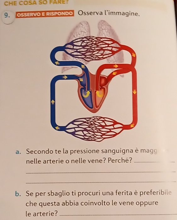 CHE COSA SO FARE? 
9. oservo erispondo Osserva l'immagine. 
a. Secondo te la pressione sanguigna è magg 
nelle arterie o nelle vene? Perché?_ 
_ 
_ 
_ 
b. Se per sbaglio ti procuri una ferita è preferibile 
che questa abbia coinvolto le vene oppure 
le arterie?_