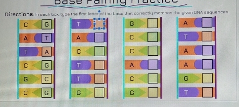 Base Famg ractice
Directions: In each box, type the first letter of the base that correctly matches the given DNA sequences.
C G T  2/3 ,  3/8 , G □ A
A T A C □ T
T A C □ C □ A
C G T A □ A
G C T □ C □ G
C G G □ G □ T □