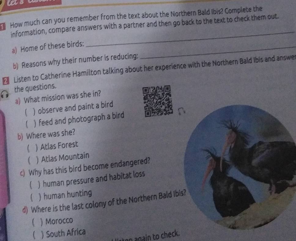 usa
How much can you remember from the text about the Northern Bald Ibis? Complete the
_
information, compare answers with a partner and then go back to the text to check them out.
a) Home of these birds:_
b) Reasons why their number is reducing:
Listen to Catherine Hamilton talking about her experience with the Northern Bald Ibis and answer
the questions.
a) What mission was she in?
( ) observe and paint a bird
 ) feed and photograph a bird
b) Where was she?
( ) Atlas Forest
( ) Atlas Mountain
c) Why has this bird become endangered?
  human pressure and habitat loss
 ) human hunting
d) Where is the last colony of the Northern Bald Ib
 ) Morocco
 ) South Africa
n again to check.