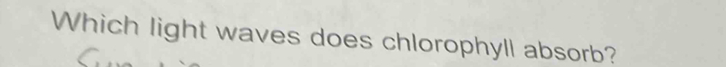 Which light waves does chlorophyll absorb?