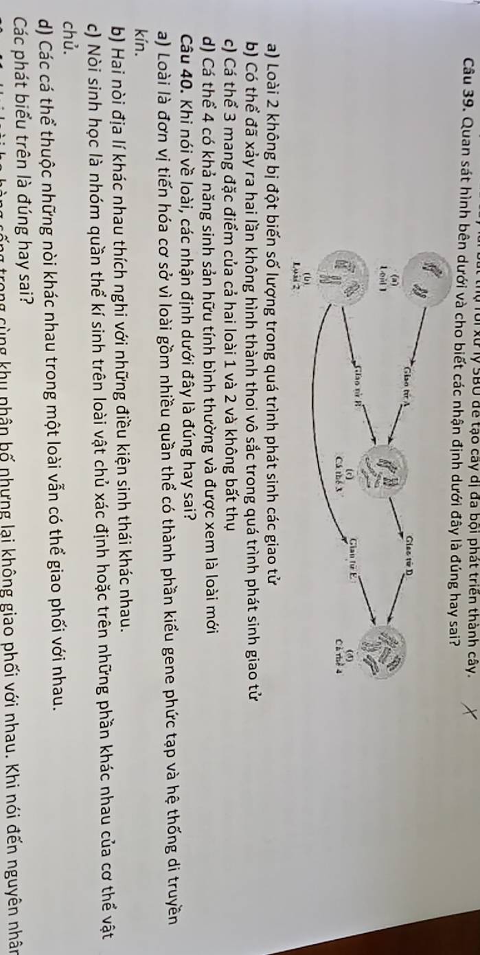Tự Toi xử lý SBU để tạo cây dị đa bội phát triển thành cây.
Câu 39. Quan sát hình bên dưới và cho biết các nhận định dưới đây là đúng hay sai?
a) Loài 2 không bị đột biến số lượng trong quá trình phát sinh các giao tử
b) Có thể đã xảy ra hai lần không hình thành thoi vô sắc trong quá trình phát sinh giao tử
c) Cá thể 3 mang đặc điểm của cả hai loài 1 và 2 và không bất thụ
d) Cá thể 4 có khả năng sinh sản hữu tính bình thường và được xem là loài mới
Câu 40. Khi nói về loài, các nhận định dưới đây là đúng hay sai?
a) Loài là đơn vị tiến hóa cơ sở vì loài gồm nhiều quần thể có thành phần kiểu gene phức tạp và hệ thống di truyền
kín.
b) Hai nòi địa lí khác nhau thích nghi với những điều kiện sinh thái khác nhau.
c) Nòi sinh học là nhóm quần thể kí sinh trên loài vật chủ xác định hoặc trên những phần khác nhau của cơ thể vật
chủ.
d) Các cá thể thuộc những nòi khác nhau trong một loài vẫn có thể giao phối với nhau.
Các phát biểu trên là đúng hay sai?
y trong cùng khu nhân bố nhựng lại không giao phối với nhau. Khi nói đến nguyên nhân