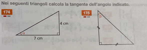 Nei seguenti triangoli calcola la tangente dell’angolo indicato.
174
175