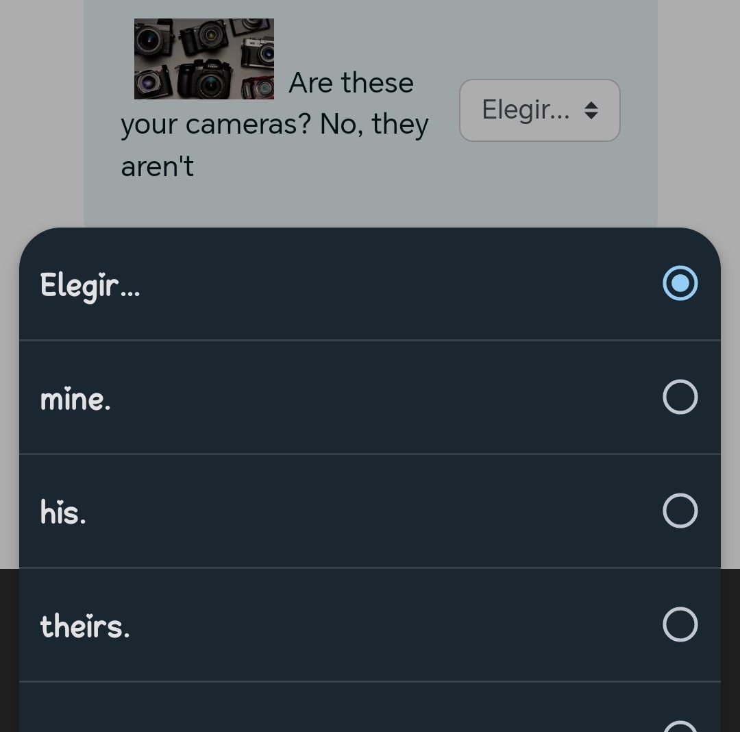 a Are these
your cameras? No, they
Elegir...
aren't
Elegir...
mine.
his.
theirs.