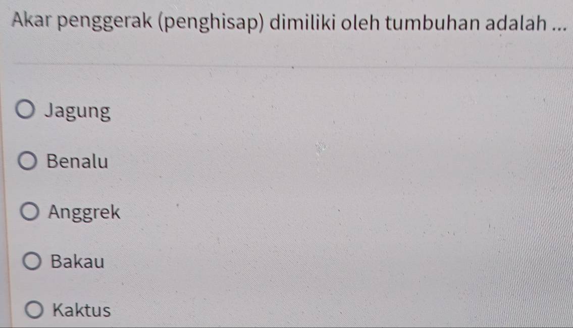 Akar penggerak (penghisap) dimiliki oleh tumbuhan adalah ...
Jagung
Benalu
Anggrek
Bakau
Kaktus