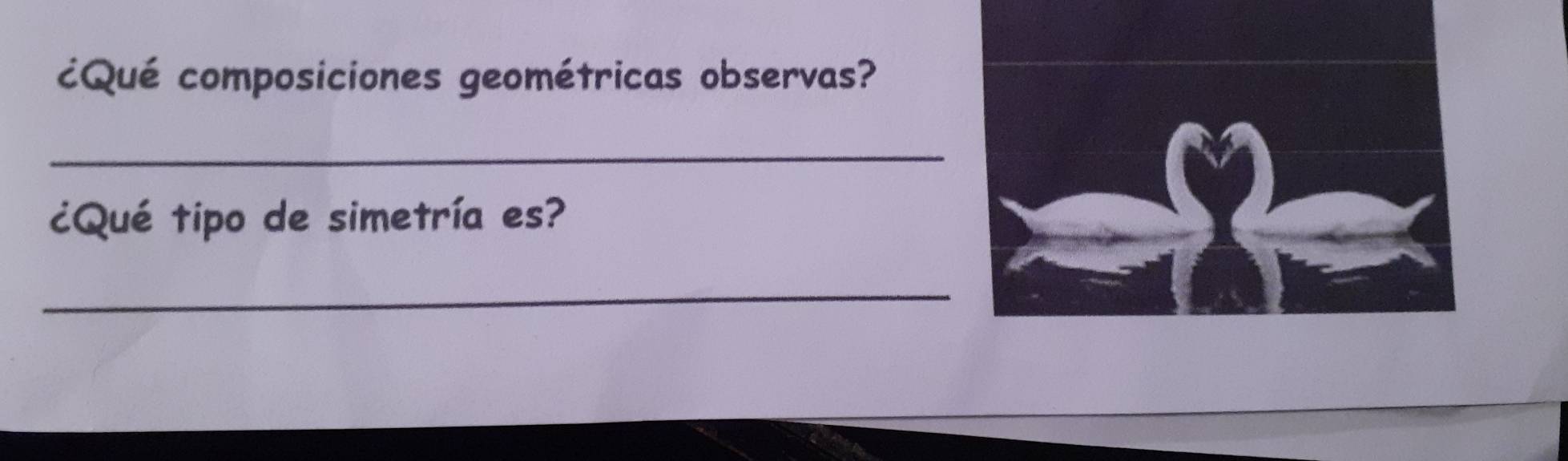 cQué composiciones geométricas observas? 
_ 
¿Qué tipo de simetría es? 
_