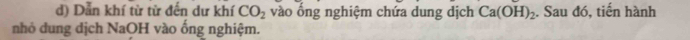 Dẫn khí từ từ đến dư khí CO_2 vào ổng nghiệm chứa dung dịch Ca(OH)_2. Sau đó, tiến hành 
nhỏ dung dịch NaOH vào ống nghiệm.
