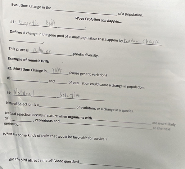 Evolution: Change in the 
_ 
of a population. 
_ 
Ways Evolution can happen... 
#1: 
_: 
_Define: A change in the gene pool of a small population that happens by 
. 
_ 
This process _genetic diversity. 
Example of Genetic Drift: 
#2: Mutation: Change in _(cause genetic variation) 
#3:_ :_ and_ of population could cause a change in population. 
_ 
#4: 
_; 
Natural Selection is a_ of evolution, or a change in a species. 
_ 
_ 
Natural selection occurs in nature when organisms with 
to_ , reproduce, and 
generation. 
_are more likely 
to the next 
What are some kinds of traits that would be favorable for survival? 
_ 
did the bird attract a mate? (video question)