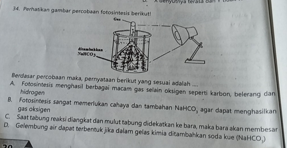 denyutnya terasa đan 1
34. Perhatikan gambar percobaan fotosintesis berikut!
Berdasar percobaan maka, pernyataan berikut yang sesuai adalah ....
A. Fotosintesis menghasil berbagai macam gas selain oksigen seperti karbon, belerang dan
hidrogen
B. Fotosintesis sangat memerlukan cahaya dan tambahan NaHCO_3 agar dapat menghasilkan
gas oksigen
C. Saat tabung reaksi diangkat dan mulut tabung didekatkan ke bara, maka bara akan membesar
D. Gelembung air dapat terbentuk jika dalam gelas kimia ditambahkan soda kue (Nal HCO_3)