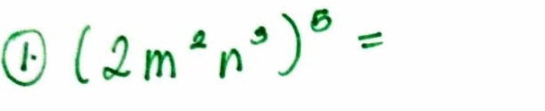 1 (2m^2n^3)^8=