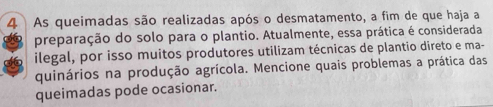 As queimadas são realizadas após o desmatamento, a fim de que haja a 
preparação do solo para o plantio. Atualmente, essa prática é considerada 
ilegal, por isso muitos produtores utilizam técnicas de plantio direto e ma- 
quinários na produção agrícola. Mencione quais problemas a prática das 
queimadas pode ocasionar.