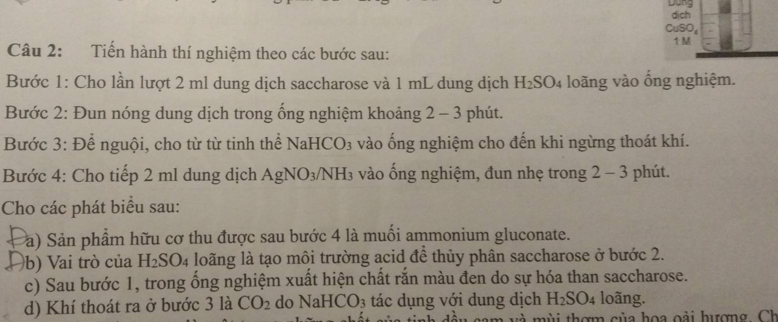 dịch 
CuSO₄ 
Câu 2: Tiến hành thí nghiệm theo các bước sau: 
Bước 1: Cho lần lượt 2 ml dung dịch saccharose và 1 mL dung dịch H_2SO_4 loãng vào ổng nghiệm. 
Bước 2: Đun nóng dung dịch trong ống nghiệm khoảng 2 - 3 phút. 
Bước 3: Để nguội, cho từ từ tinh thể NaH CO_3 vào ống nghiệm cho đến khi ngừng thoát khí. 
Bước 4: Cho tiếp 2 ml dung dịch Ag NO_3/ H_3 - ào ng nghiệm, đun nhẹ trong 2-3 phút. 
Cho các phát biểu sau: 
a) Sản phẩm hữu cơ thu được sau bước 4 là muối ammonium gluconate. 
b) Vai trò của H_2SO_4 loãng là tạo môi trường acid đề thủy phân saccharose ở bước 2. 
c) Sau bước 1, trong ổng nghiệm xuất hiện chất rắn màu đen do sự hóa than saccharose. 
d) Khí thoát ra ở bước 3 là CO_2 do NaHCO_3 tác dụng với dung dịch H_2SO_4 loãng. 
v m ùi thơm của hoa oải hượng Ch