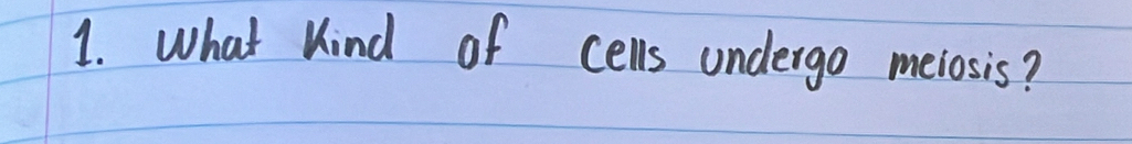 What Kind of cells undergo meiosis?